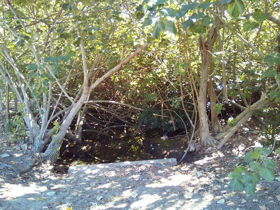 John Fraser Memorial Park